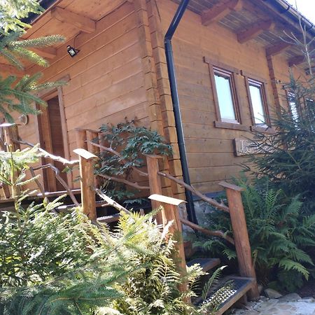 Apartament Nad Potokiem Wisla Ngoại thất bức ảnh